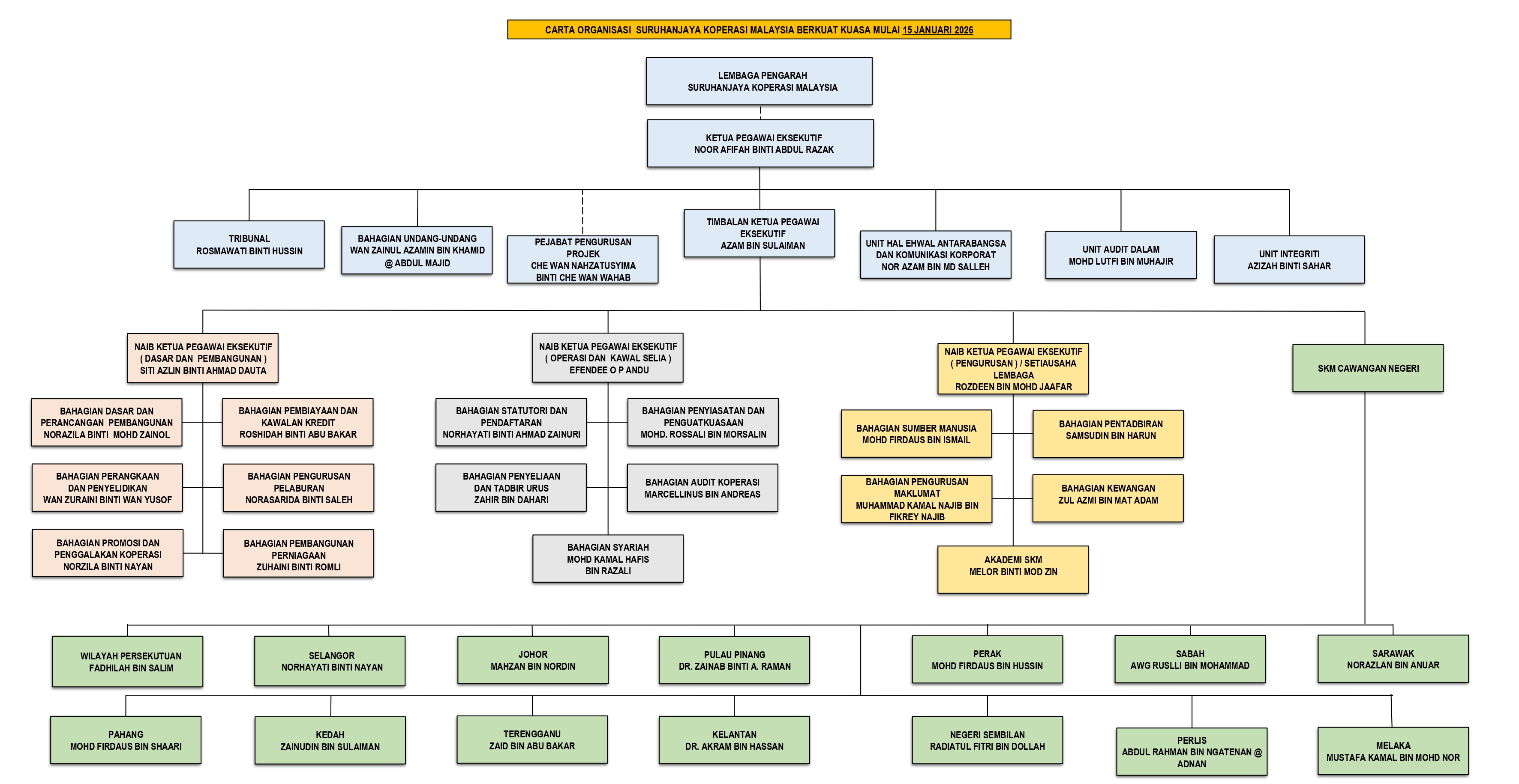 2026 CARTA ORGANISASI SKM