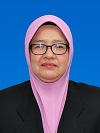 PN. NORZILA BINTI NAYAN